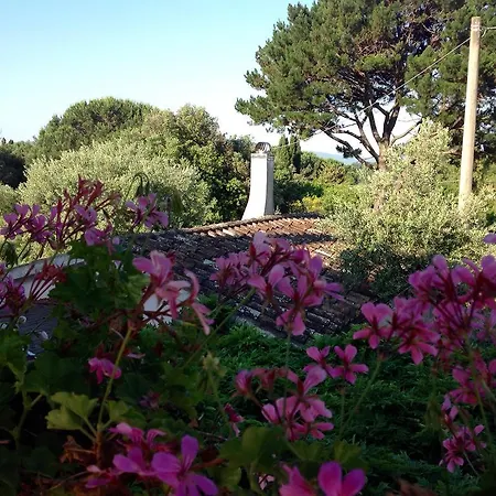 Casale Ai Poggi Gospodarstwo wiejskie Orbetello